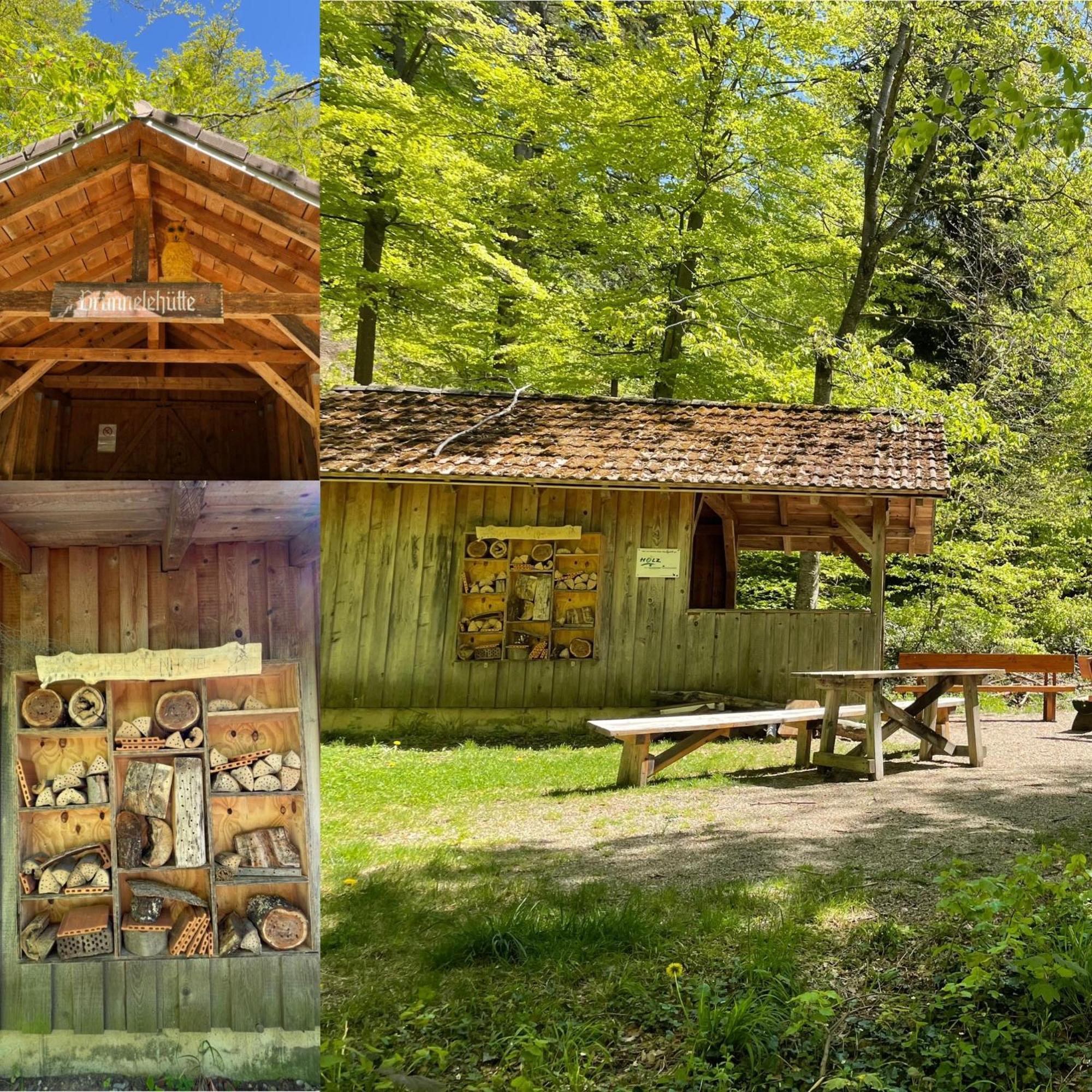 Familien Themen-Appartement Freiburg In Soelden 2 Schlafzimmer المظهر الخارجي الصورة