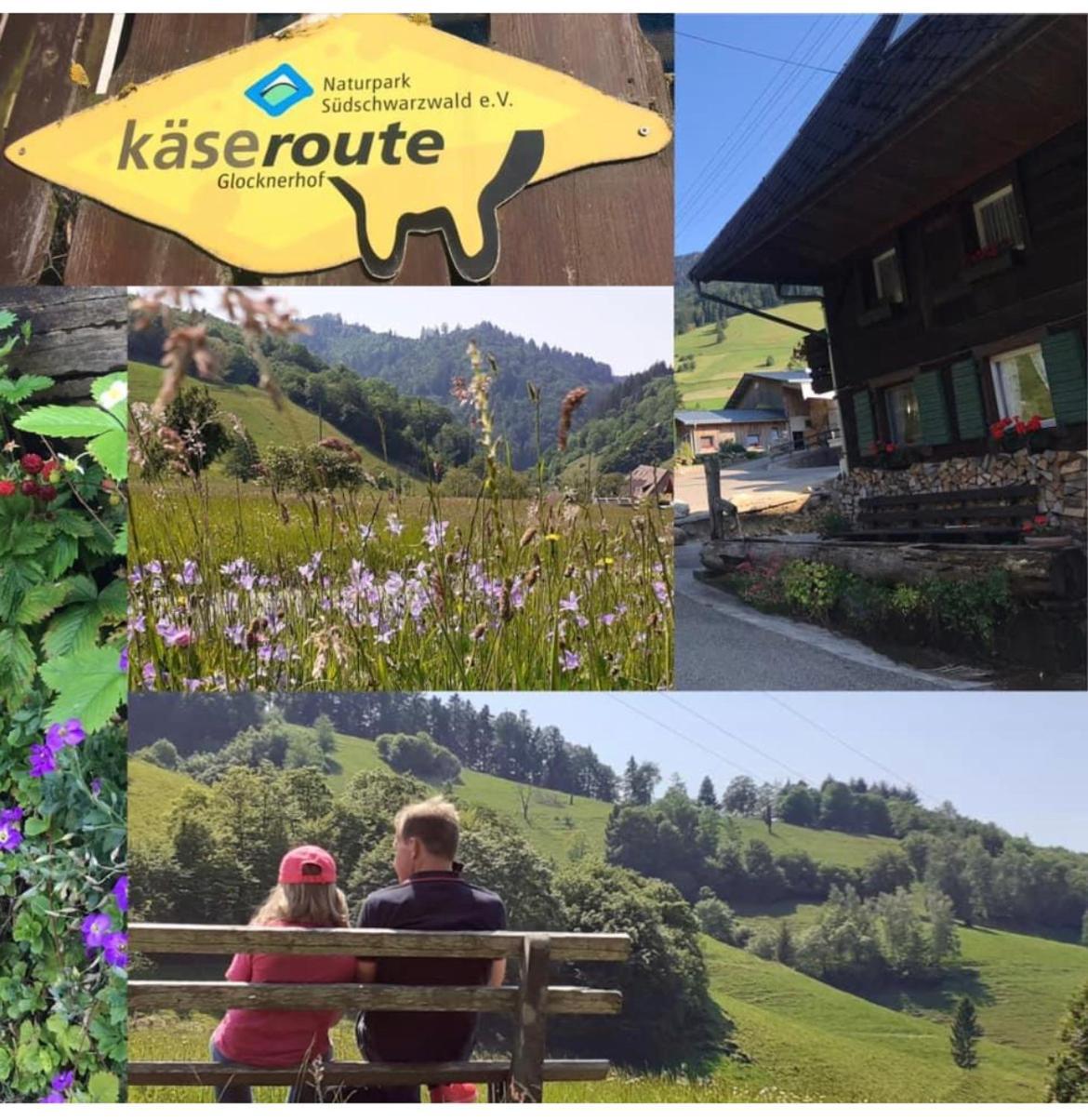 Familien Themen-Appartement Freiburg In Soelden 2 Schlafzimmer المظهر الخارجي الصورة