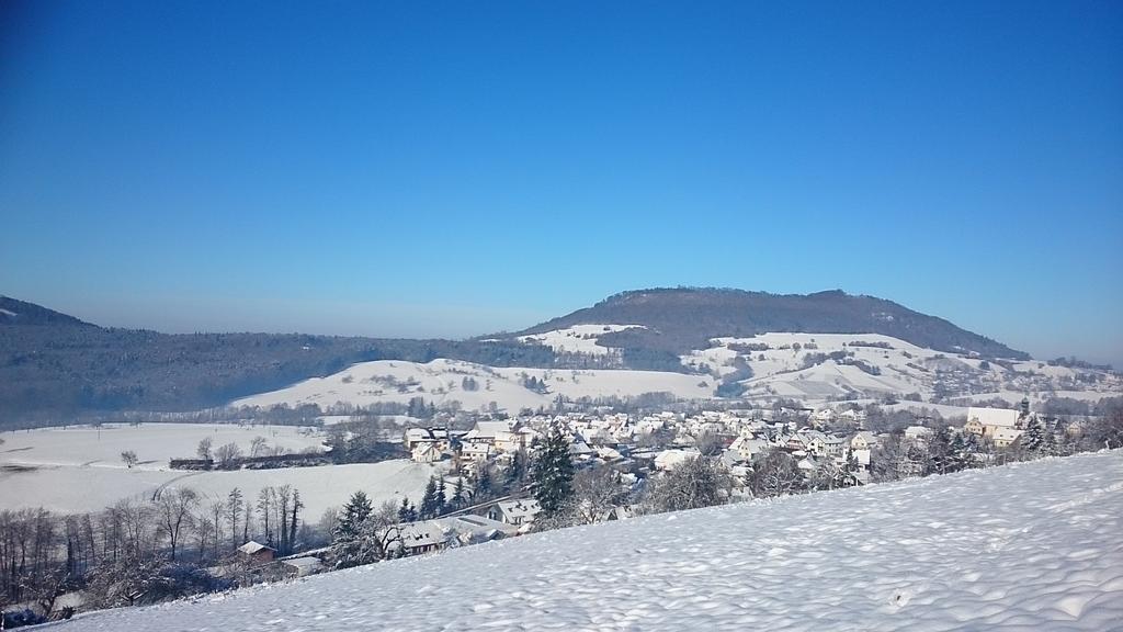 Familien Themen-Appartement Freiburg In Soelden 2 Schlafzimmer المظهر الخارجي الصورة