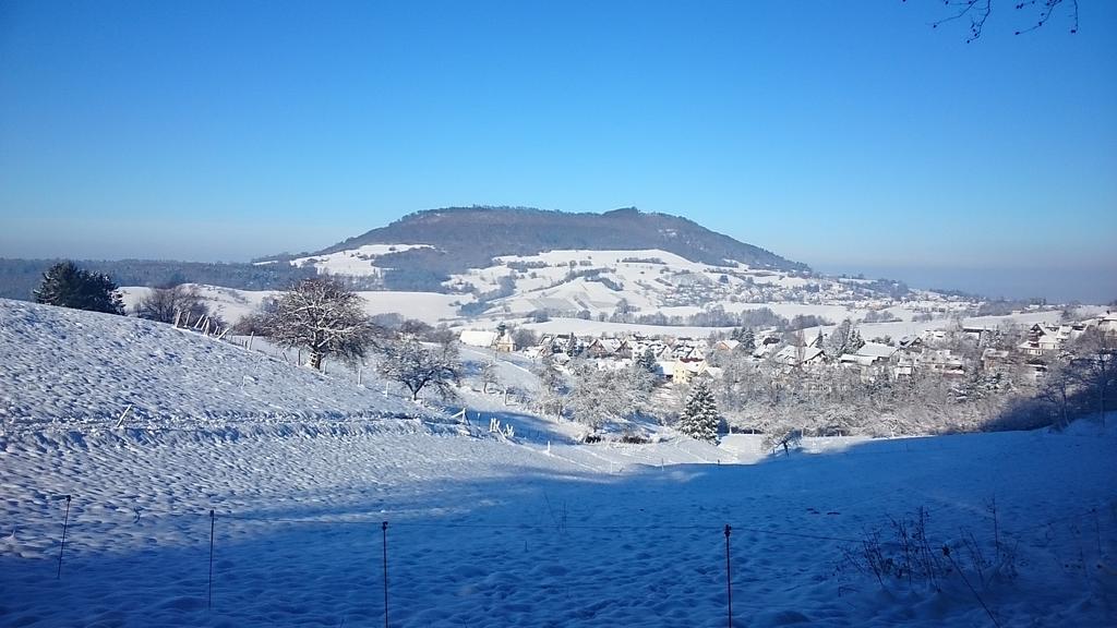 Familien Themen-Appartement Freiburg In Soelden 2 Schlafzimmer المظهر الخارجي الصورة