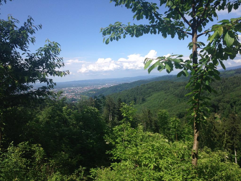 Familien Themen-Appartement Freiburg In Soelden 2 Schlafzimmer المظهر الخارجي الصورة
