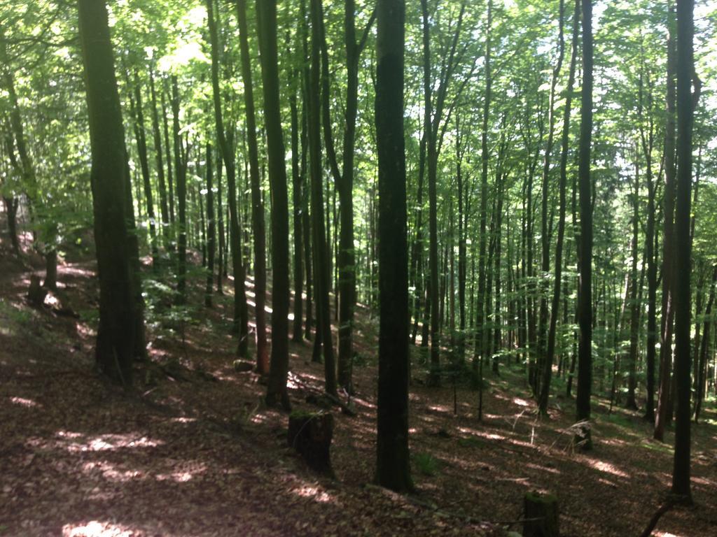 Familien Themen-Appartement Freiburg In Soelden 2 Schlafzimmer المظهر الخارجي الصورة